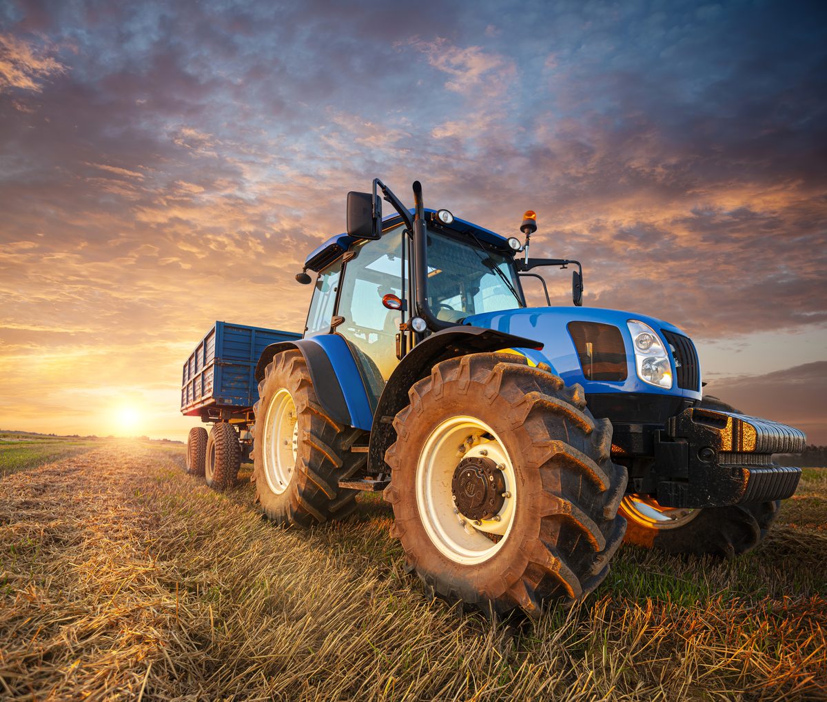 An agricultural tractor with a loaded trailer standing in a harvested field